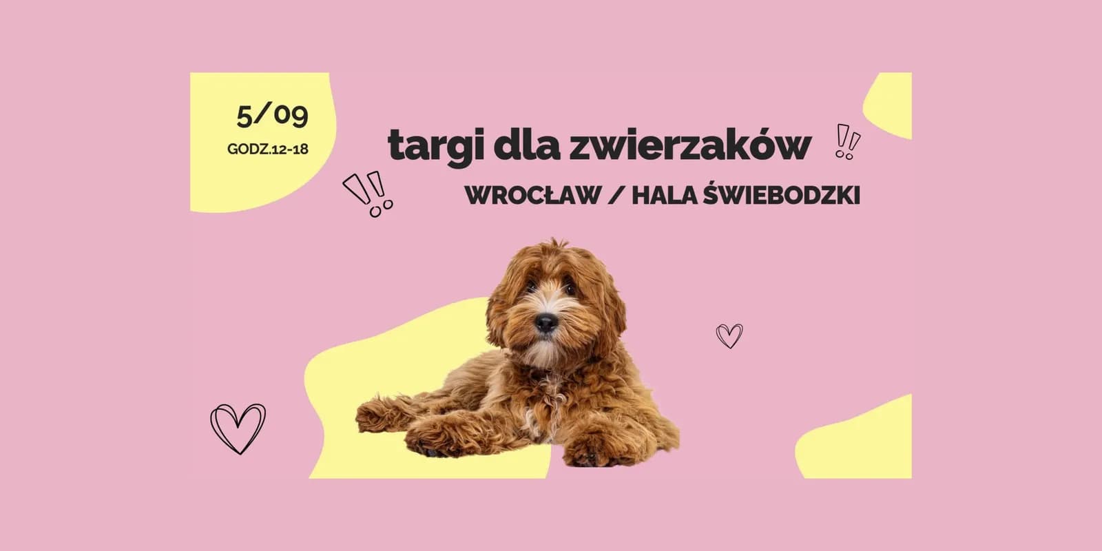 A fluffy brown and white dog lies on a yellow abstract shape on a pink background, with black text overlaid announcing a pet fair in Wroclaw.