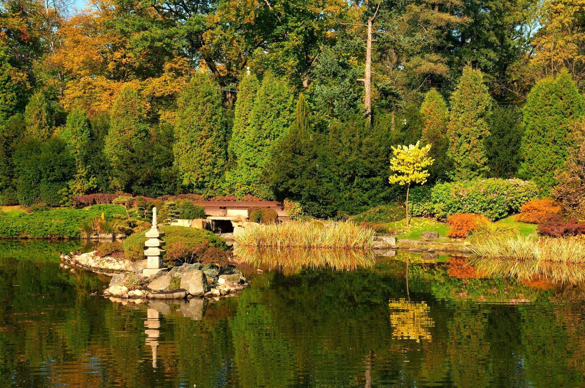 An Oasis of Calm in Wrocław: The Japanese Garden