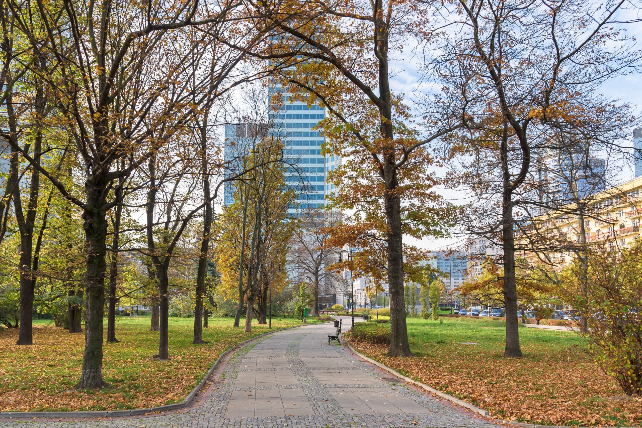 Top 10 Best Parks in Wrocław: A Local’s Guide to the City’s Green Corners