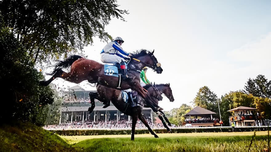 The Best of Wrocław Outdoors: Partynice Racecourse Has It All