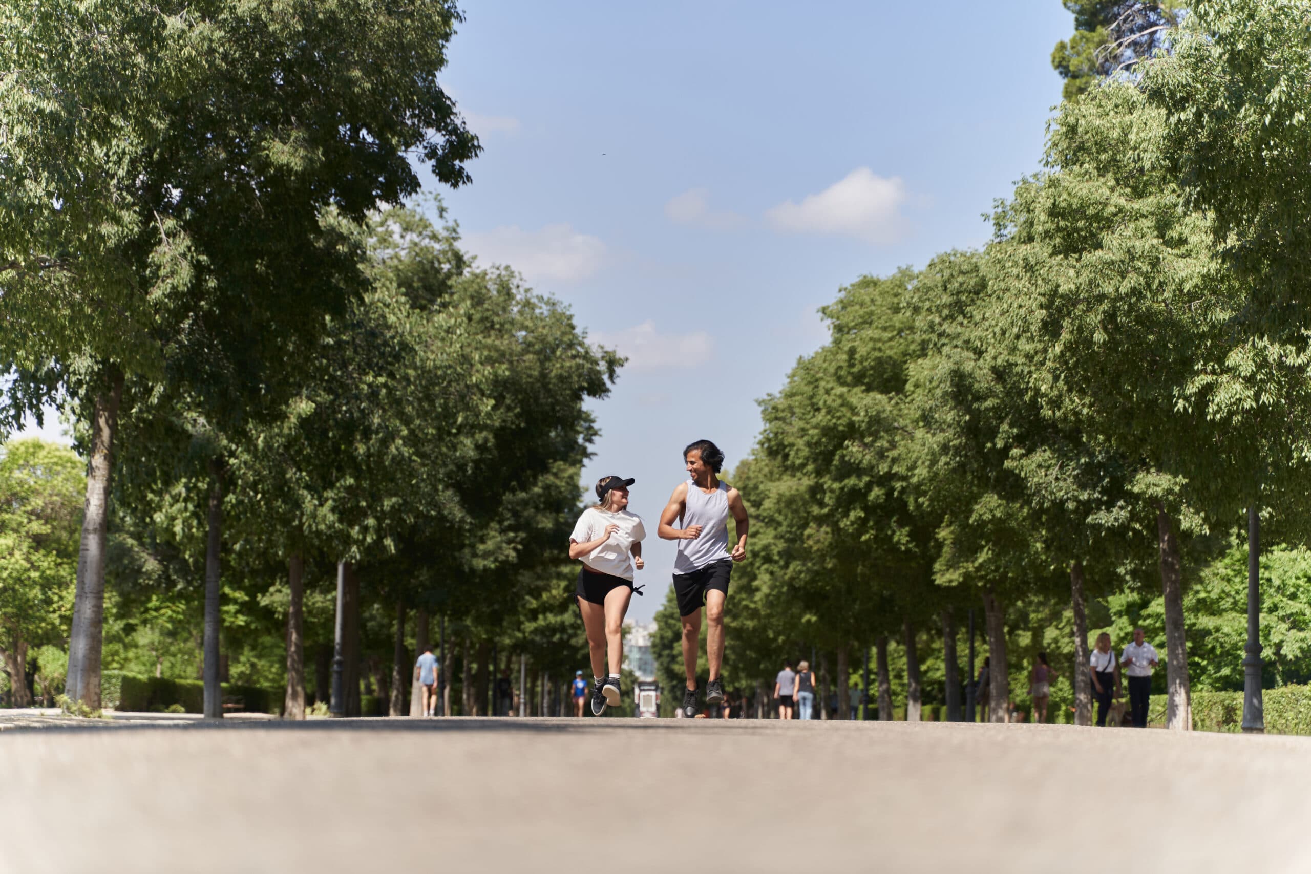 20+ Scenic Running Trails in Wrocław You’ll Love