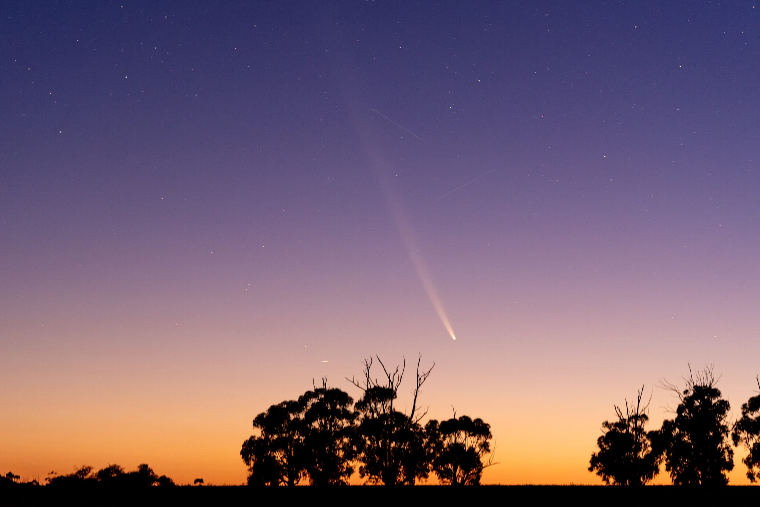 Wroclaw’s Night Sky: How to Spot and Capture the ‘Comet of the Century’