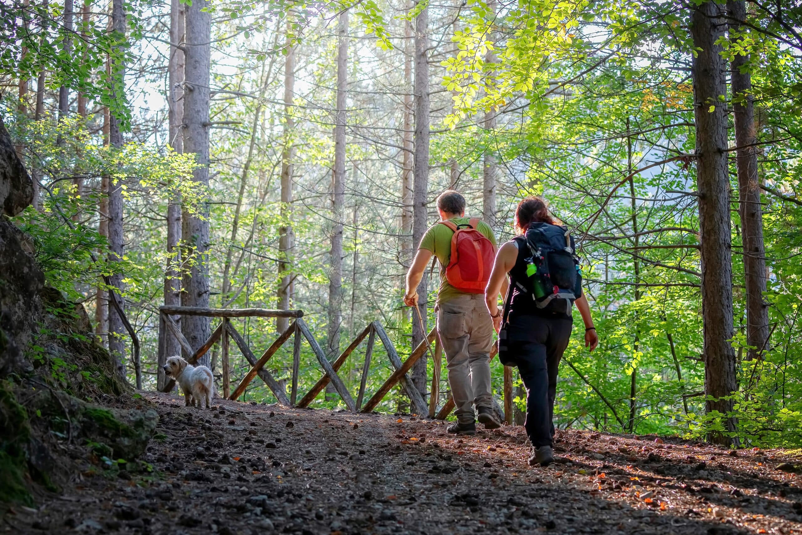 Three New Nature Reserves in Lower Silesia: Where to Go, What to See, How to Visit