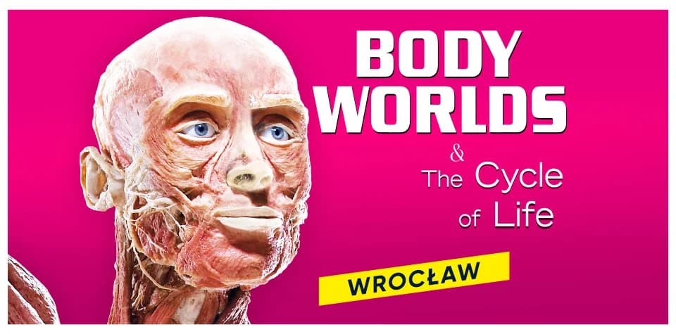 BODY WORLDS: The Cycle of Life Gives Visitors a Rare Look Inside the Human Body Before Leaving Wrocław